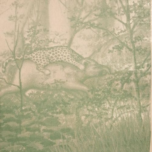 jagua mundo del misterio verde